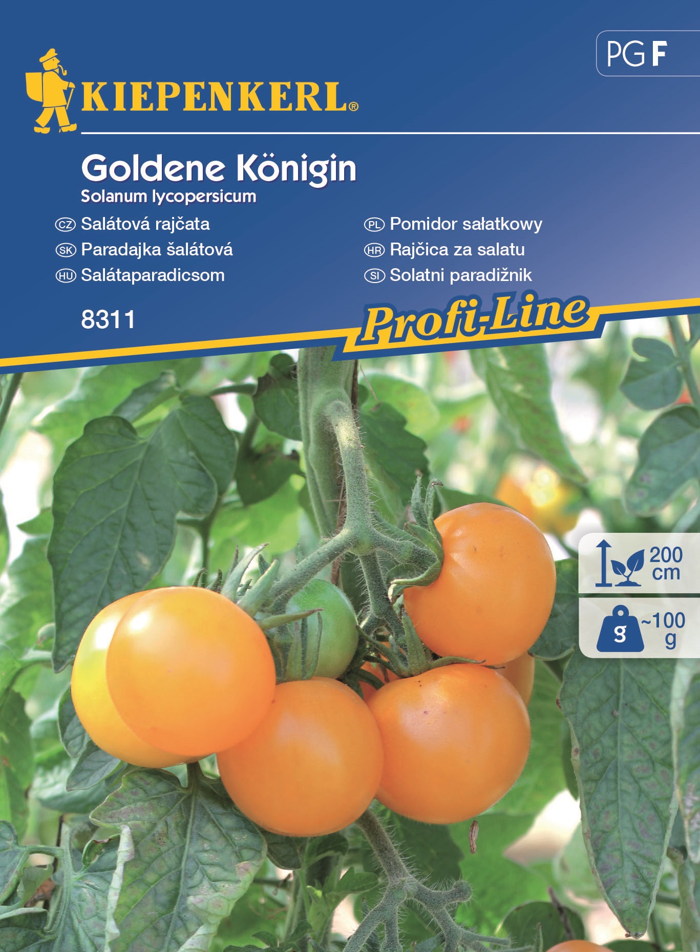 Tomatoes Golden Queen yellow Kiepenkerl 20 seeds