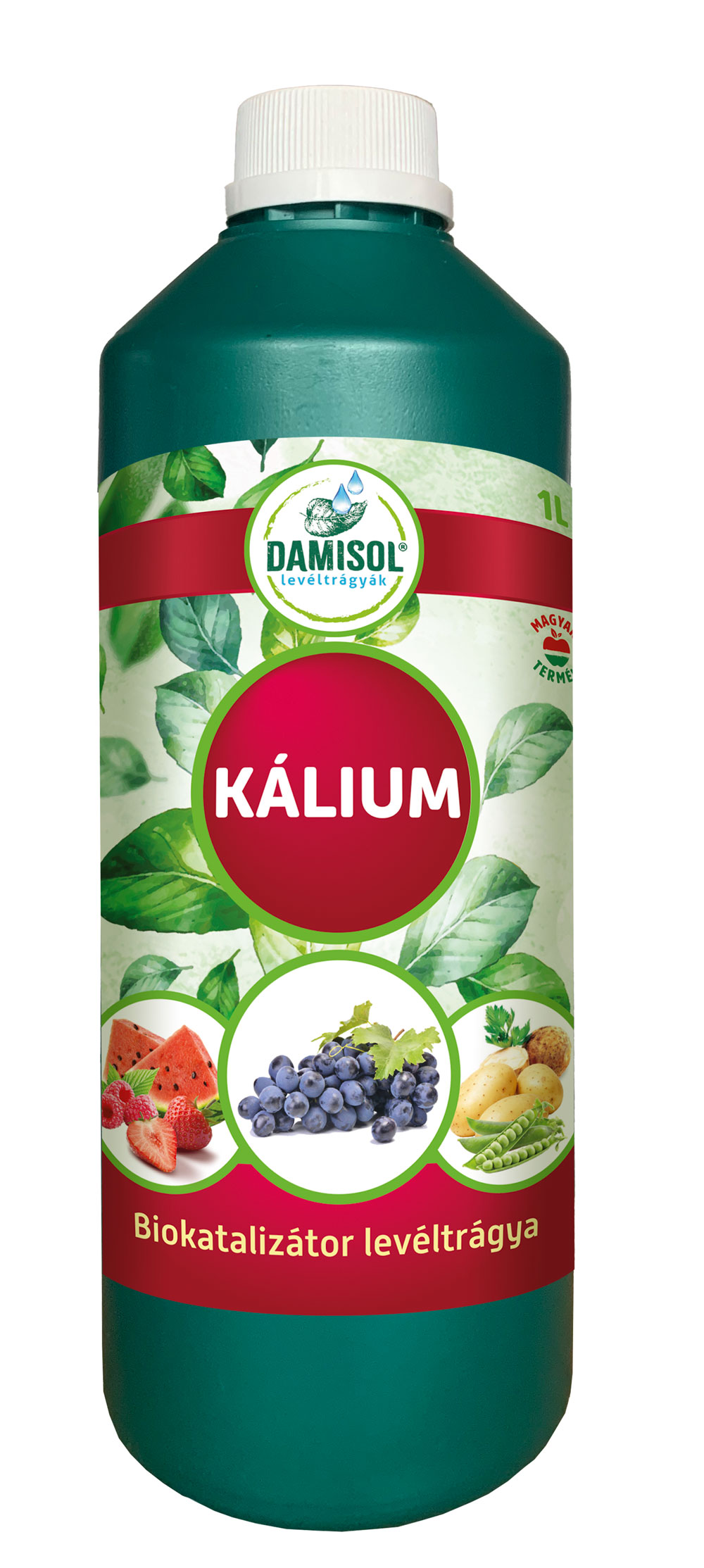 Damisol Potassium 1 l