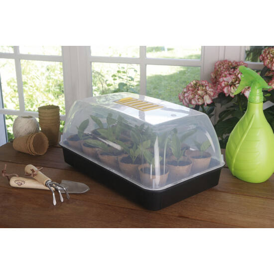 Mini greenhouse for seedlings Rapid Grow 38 x 24 x 19 cm