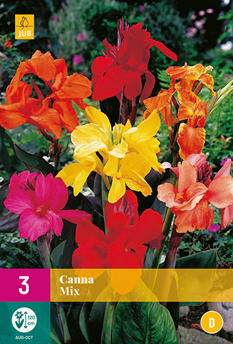 Flower Bulb Canna Mix 3 pieces JUB