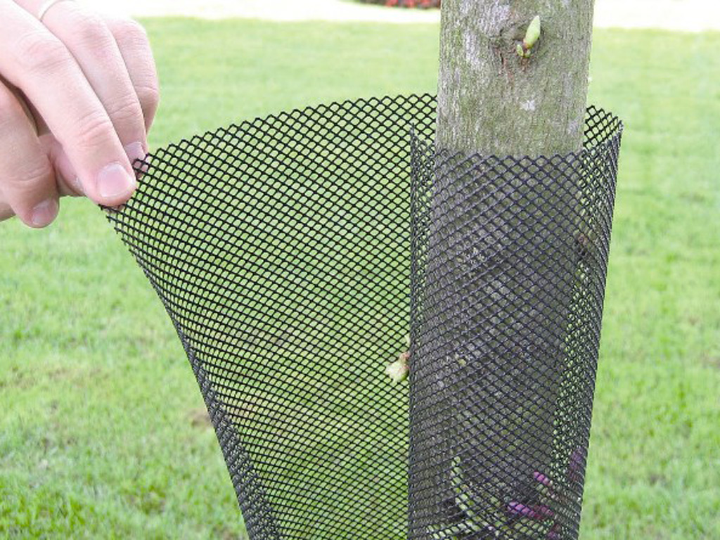 Tree protection grid Treex black 110 cm (6 cm diameter)